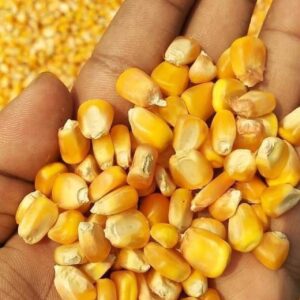 Corns